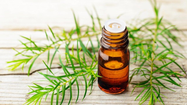 bai-viet/top-cac-san-pham-tea-tree-oil-chong-lao-hoa-duoc-ua-chuong-52062.html