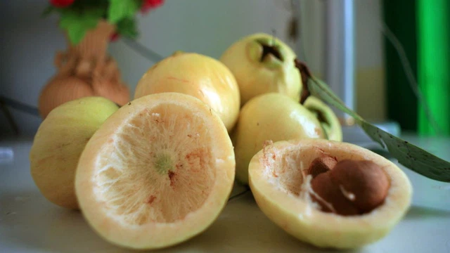 bai-viet/trai-ly-thanh-phan-dinh-duong-va-loi-ich-suc-khoe-it-nguoi-biet.html