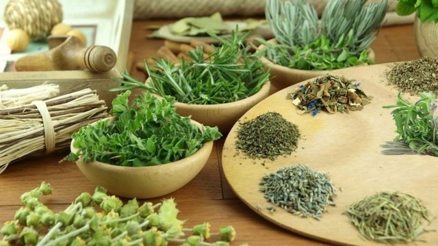 bai-viet/giai-dap-uong-la-cay-gi-de-ha-huyet-ap.html
