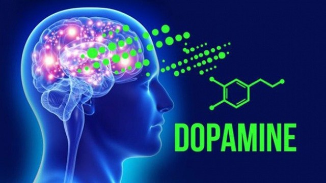 bai-viet/vai-tro-cua-dopamine-mot-hormone-hanh-phuc-cua-co-the.html