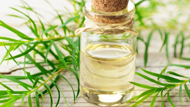 Vì sao tinh dầu ngọc am được ví như liệu pháp an thần từ thiên nhiên? 0