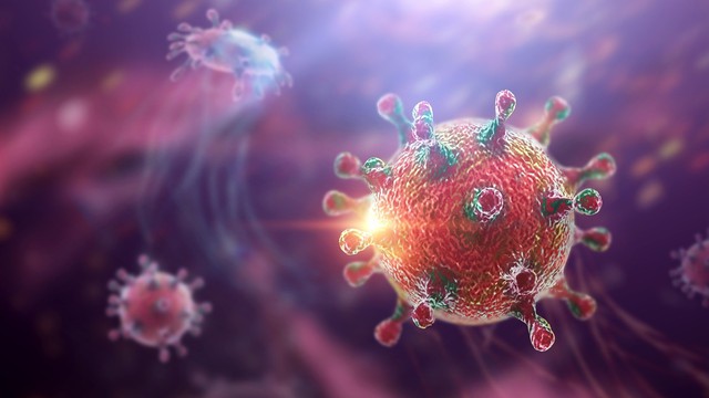 bai-viet/virus-hanta-la-gi-bien-phap-phong-benh-do-virus-hanta-gay-ra.html