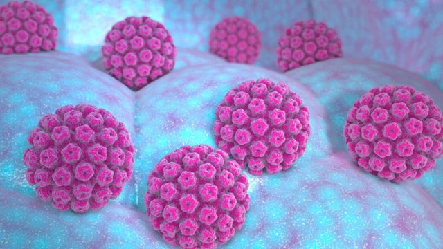 Virus HPV có gây ung thư dương vật không?
