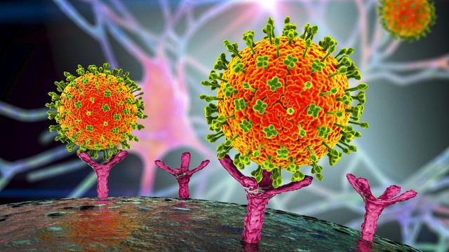 bai-viet/virus-paramyxovirus-nguyen-nhan-gay-nhieu-benh-ly-nguy-hiem.html