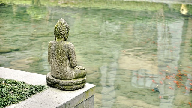 bai-viet/yoga-karma-la-gi-loi-ich-nhan-duoc-va-huong-dan-thuc-hien.html