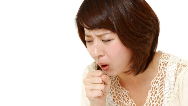 bai-viet/huong-dan-meo-cat-dut-con-ho-ngua-co-hong-tai-nha-hieu-qua.html