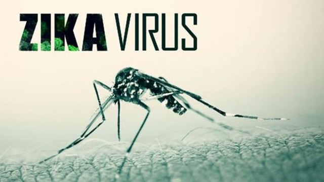 bai-viet/huong-dan-cach-phong-chong-virus-zika-an-toan-va-hieu-qua-67554.html