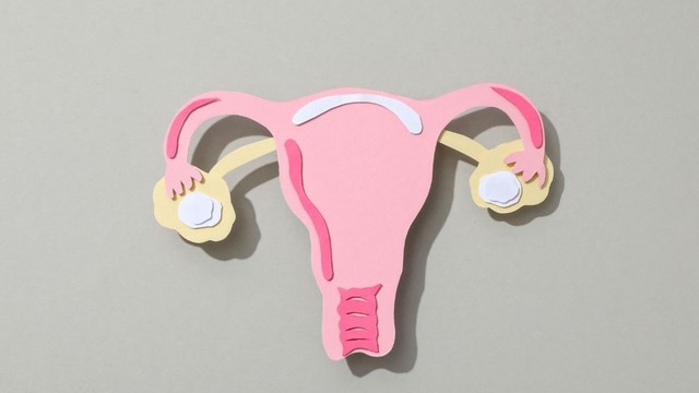 bai-viet/huong-dan-cach-phuc-hoi-tu-cung-sau-say-thai-khong-phai-ai-cung-biet.html