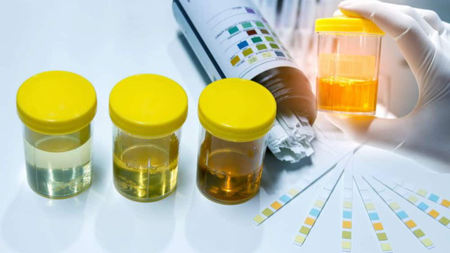 bai-viet/huong-dan-cach-su-dung-que-thu-ma-tuy-66052.html