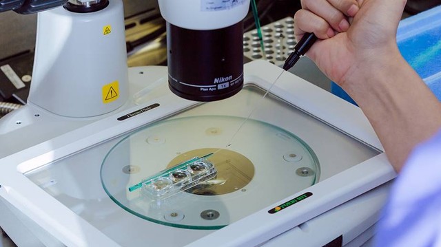 bai-viet/qua-trinh-chuan-bi-va-theo-doi-niem-mac-chuyen-phoi-tru-ma-chi-em-nen-biet.html