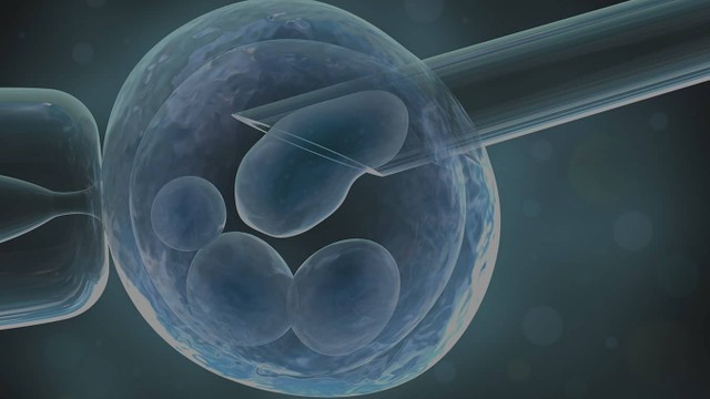 bai-viet/hut-tinh-trung-tu-mao-tinh-la-gi.html