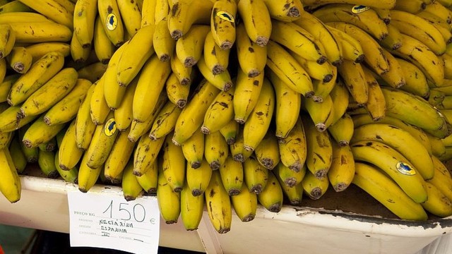 bai-viet/kali-la-gi-va-vai-tro-cua-kali-doi-voi-co-the.html