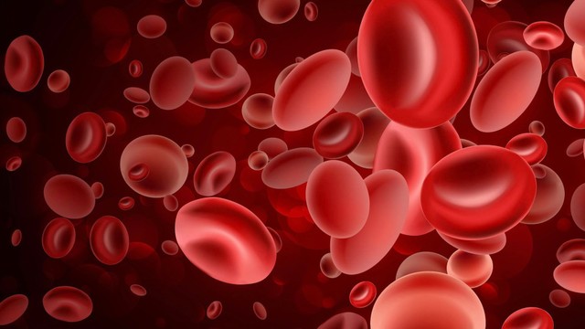 bai-viet/kali-mau-binh-thuong-co-chi-so-bao-nhieu.html