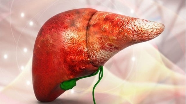 bai-viet/tim-hieu-cac-nguyen-nhan-gay-xo-gan-va-cach-phong-ngua-hieu-qua.html