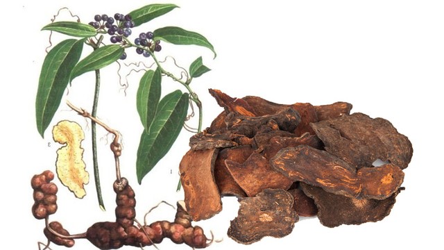 bai-viet/kham-pha-cong-dung-thao-duoc-tho-phuc-linh-69758.html