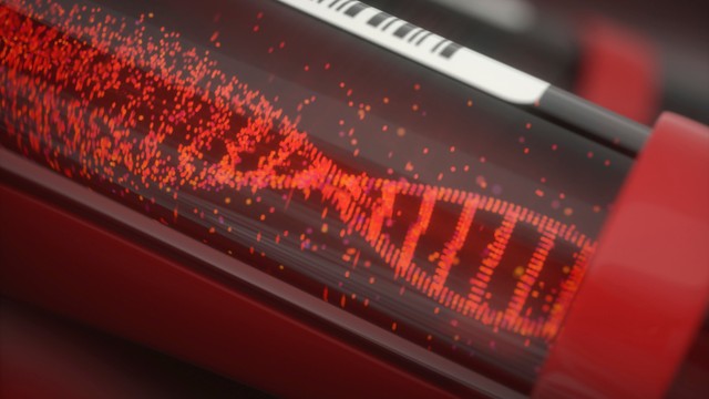 bai-viet/kham-pha-su-di-truyen-nhom-mau-nhung-yeu-to-anh-huong-den-con-cai.html