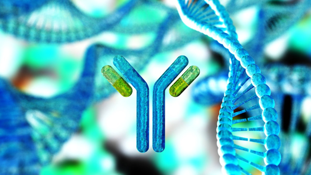 bai-viet/khang-the-don-dong-la-gi-va-cong-dung-dieu-tri-ung-thu-covid-19-ra-sao-70192.html