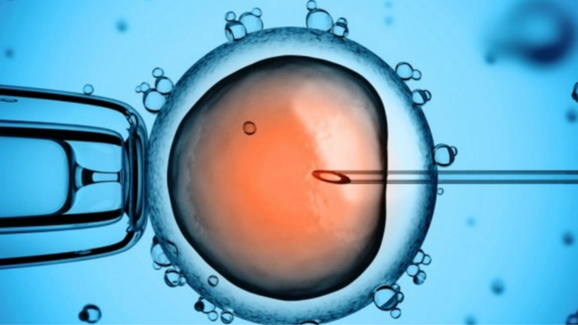 bai-viet/khang-the-khang-tinh-trung-la-gi-hinh-thanh-the-nao-anh-huong-den-sinh-san-khong.html