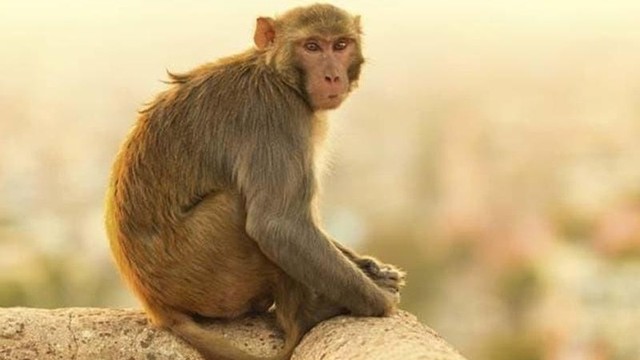 bai-viet/khi-can-co-sao-khong-cach-xu-ly-khi-bi-khi-can.html