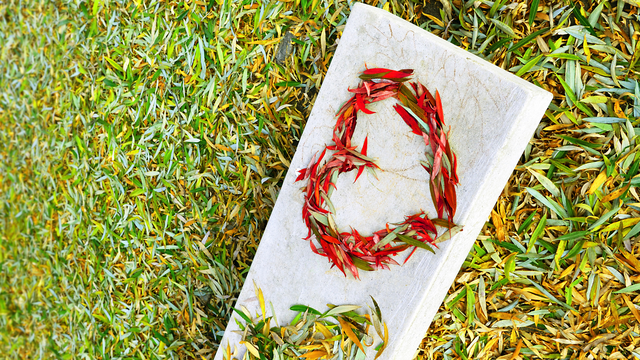 bai-viet/khoanh-khac-rung-dong-la-gi-bieu-hien-khi-rung-dong-truoc-mot-nguoi.html