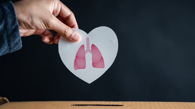 bai-viet/kich-hoat-thu-the-vitamin-d-co-the-lam-cham-su-phat-trien-qua-muc-cua-te-bao-trong-tang-huyet-ap-phoi.html