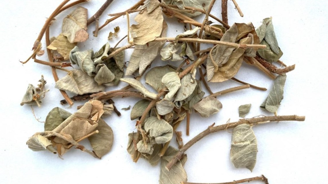 bai-viet/kim-tien-thao-kho-cong-dung-va-cach-dung.html