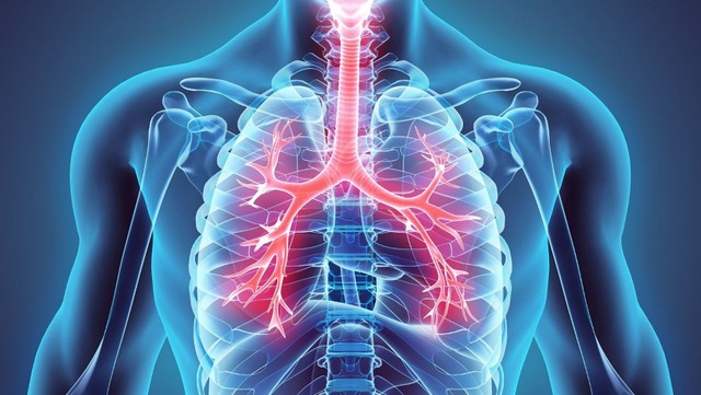 bai-viet/ky-thuat-dan-luu-tu-the-thuc-hien-nhu-the-nao.html