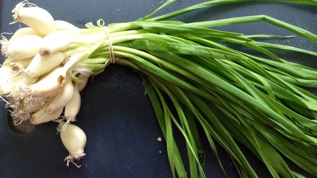 bai-viet/la-toi-an-duoc-khong-an-la-toi-co-tac-dung-gi-67633.html