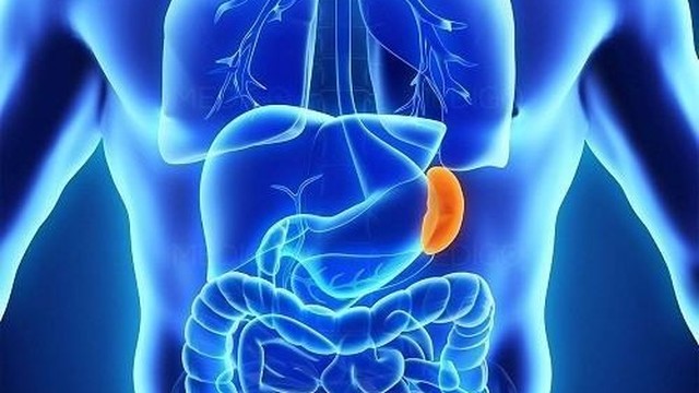 bai-viet/lach-to-co-may-do-phan-biet-nhu-the-nao-61028.html