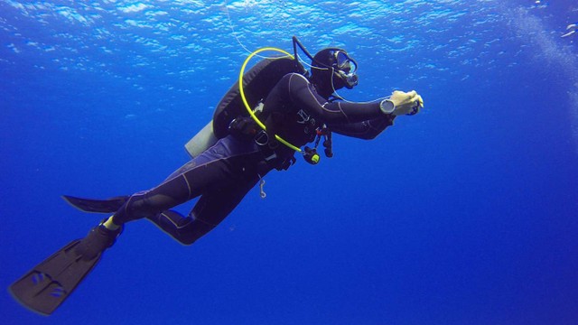 bai-viet/lan-co-tot-khong-loi-ich-khi-theo-duoi-mon-lan-bien.html