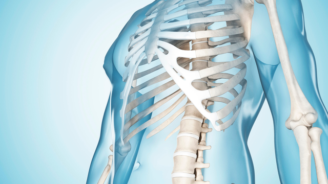 benh/lao-xuong-447.html