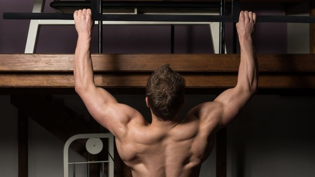 bai-viet/lich-tap-push-pull-leg-chi-tiet-khoa-hoc-va-toi-uu-hieu-qua.html