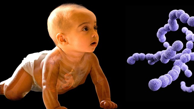 bai-viet/lien-cau-khuan-nhom-b-la-gi-nhung-anh-huong-doi-voi-me-bau-va-thai-nhi.html