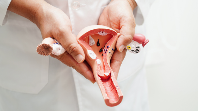 bai-viet/lieu-nu-sau-khi-triet-san-co-kinh-nguyet-khong.html