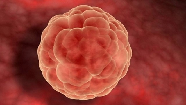 bai-viet/lieu-rang-kich-thuoc-trung-17mm-co-thu-thai-duoc-khong-lam-sao-de-do-kich-thuoc-trung.html