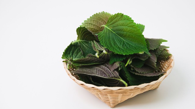 bai-viet/loai-la-co-o-viet-nam-tot-ngang-kem-chong-nang-va-tang-sinh-collagen.html