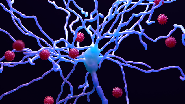 Loạn dưỡng bạch cầu dị sắc 0