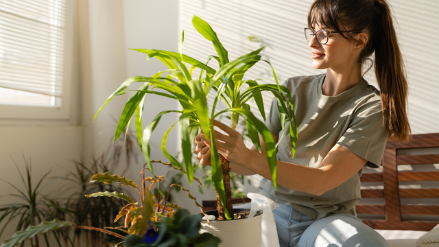 bai-viet/loi-song-toi-gian-mang-lai-loi-ich-gi-cho-tinh-than-va-suc-khoe.html