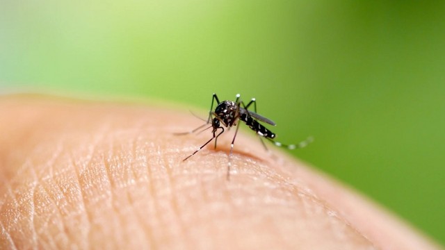 bai-viet/mac-benh-sot-xuat-huyet-co-duoc-uong-panadol-extra-khong.html