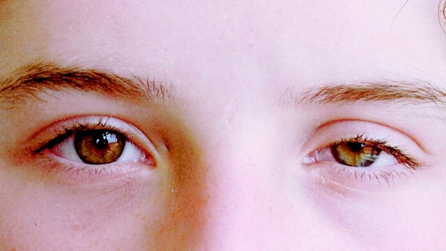 bai-viet/mach-ban-cac-cach-khac-phuc-mi-mat-chay-xe-tai-nha-50576.html