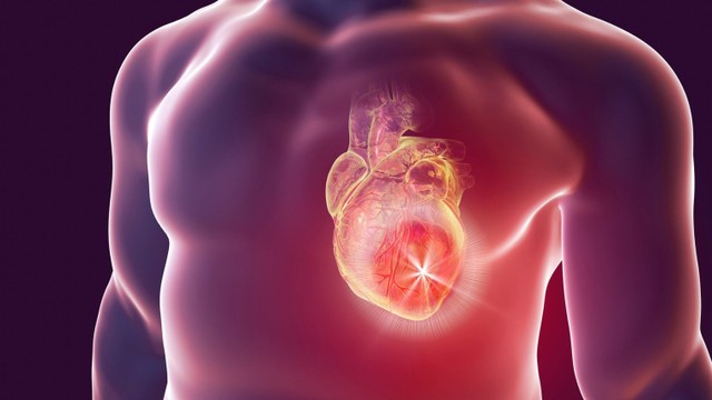 bai-viet/mach-vanh-he-thong-mach-mau-quan-trong-va-nhung-dieu-can-biet.html