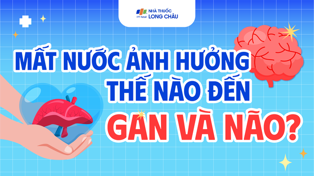 [Infographic] Mất nước ảnh hưởng thế nào đến gan và não?
