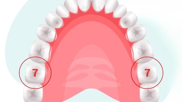 bai-viet/mat-rang-so-7-ham-tren-gay-ra-cac-benh-ly-gi-cho-rang-mieng.html