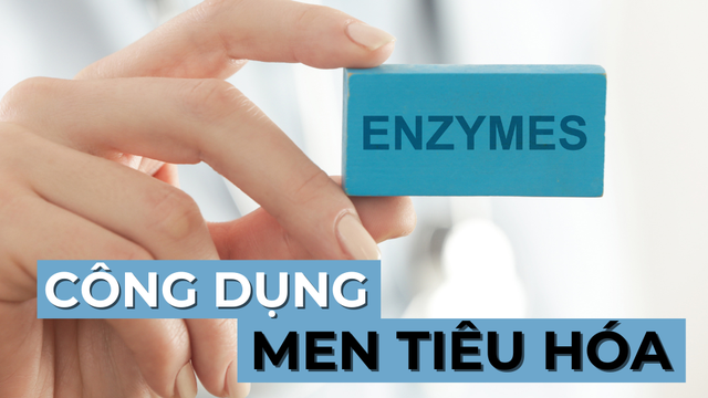 bai-viet/cac-loai-men-tieu-hoa-va-cong-dung-cua-chung.html