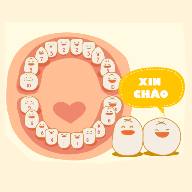 bai-viet/meo-hay-giup-be-moc-rang-nhu-gia-khong-dau-khong-sot-45541.html