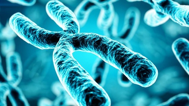 bai-viet/microsatellite-instability-la-gi-cac-ky-thuat-hien-dai-giup-phat-hien-vung-msi.html