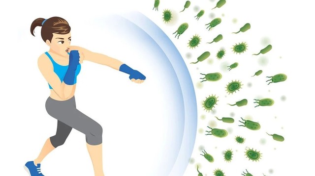 bai-viet/mien-dich-thu-dong-la-gi-cach-tang-cuong-mien-dich-thu-dong.html