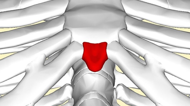 bai-viet/mo-ac-la-gi-vi-tri-cua-xuong-mo-ac-va-cac-benh-ly-lien-quan.html