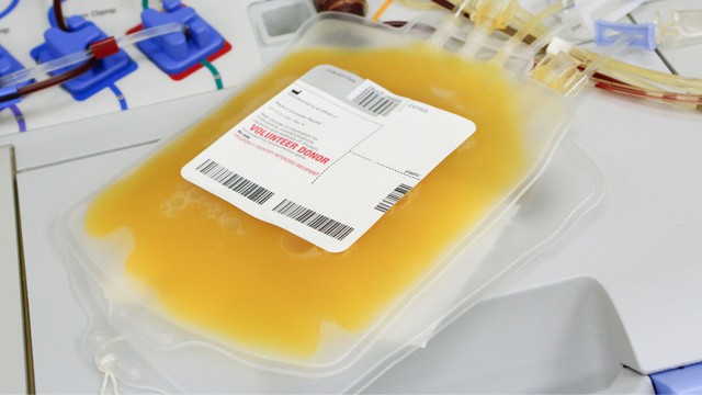 bai-viet/mot-bich-tieu-cau-gia-bao-nhieu-khi-nao-can-truyen-tieu-cau.html