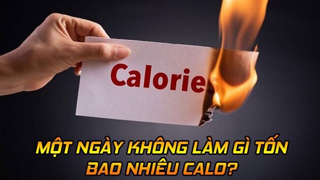 bai-viet/mot-ngay-khong-lam-gi-ton-bao-nhieu-calo.html